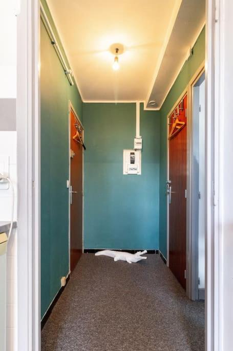 Double Appartement, Saint Michel, Parking, Wifi تولوز المظهر الخارجي الصورة